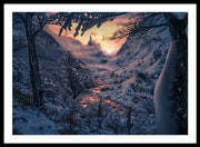 Sun in the Winter - Framed Print