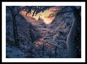 Sun in the Winter - Framed Print