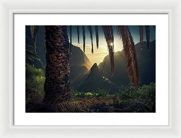 Palmtree Coast - Framed Print