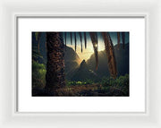 Palmtree Coast - Framed Print