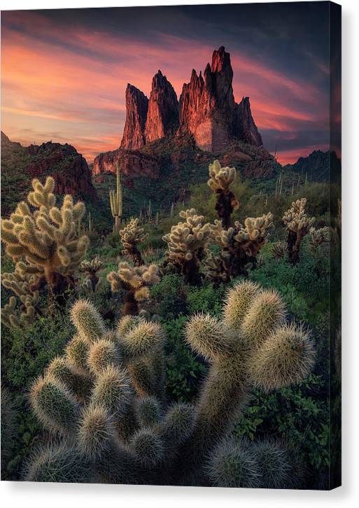 Superstition Mountains Print