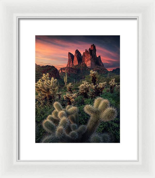 Tonto National Forest Print