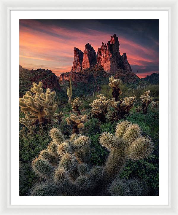 Tonto National Forest Print