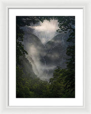 NZ Forest View - Acrylic Print - Framed Print