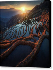 Chine Rice Terraces - Canvas Print
