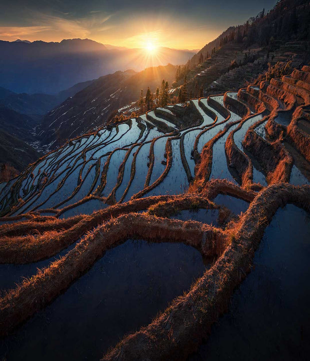 Terraces of China - Art Print