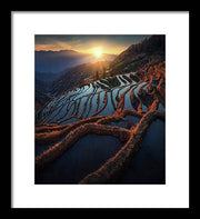 Rice Terraces Landscape - Framed Print