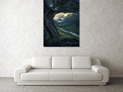 Moody Forest - Acrylic Print