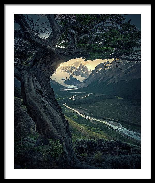 Cerro Torre Dark Tree - Framed Print