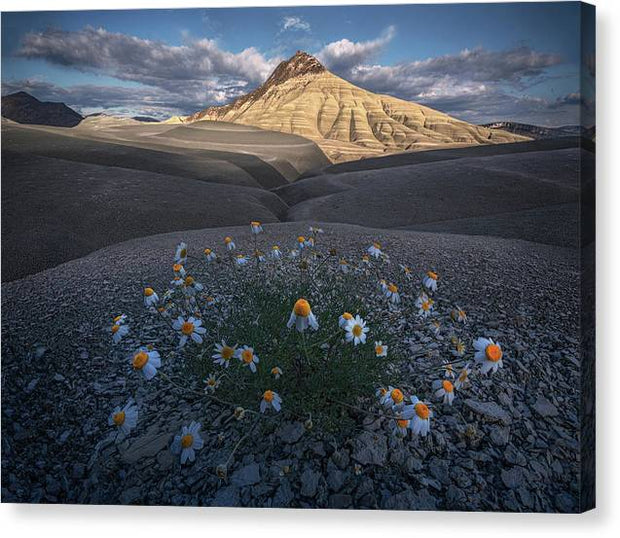 The Last Flowers - Canvas Print