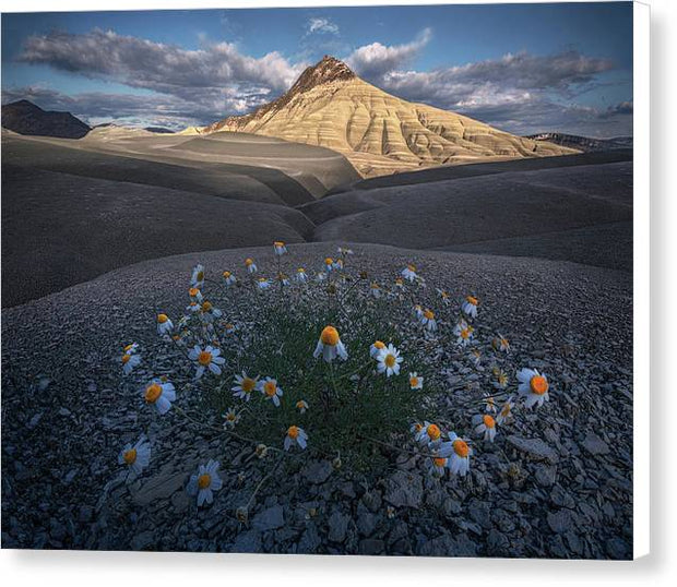 The Last Flowers - Canvas Print