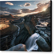 Iceland Wildlife - Canvas Print