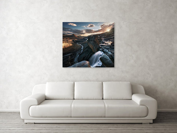 Icelandic Sheep - Metal Print