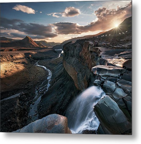 Icelandic Sheep - Metal Print