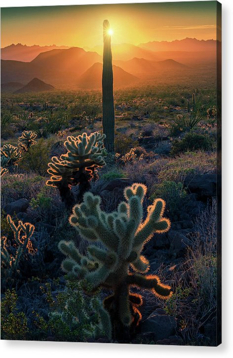 USA Landscape Photography - Acrylic Print