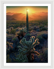 Cacti Sunset Desert - Framed Print