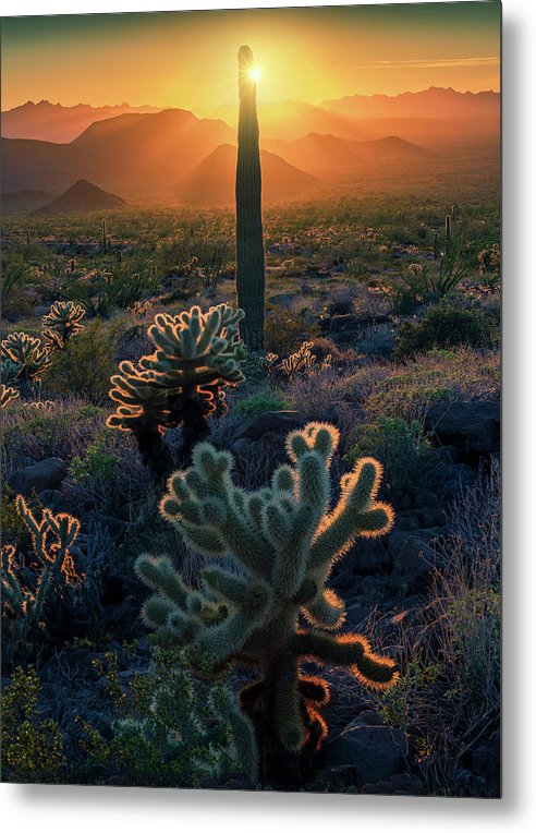 Desert Fine Art Landscape - Metal Print