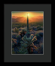 Cacti Sunset Desert - Framed Print