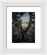 Joshua Tree Print