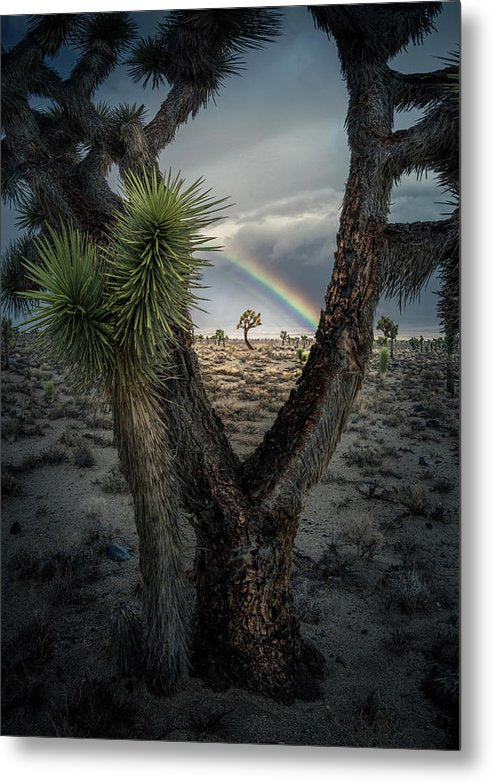 Rainbow Death Valley - Metal Print