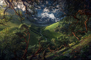 Moody Summer Mountain - Art Print