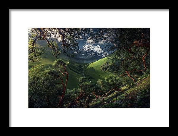 Andes Peru Green  - Framed Print