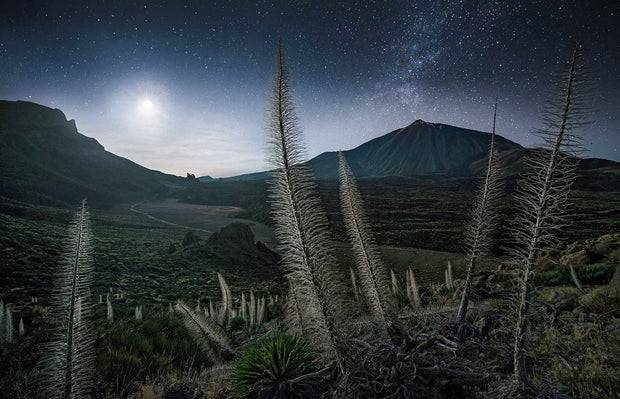 Mount Teide - Metal Print