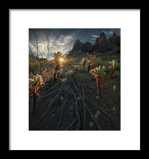 Arizona Landscape Print