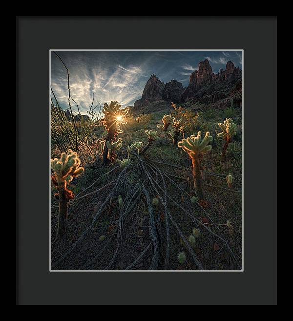 Arizona Landscape Print