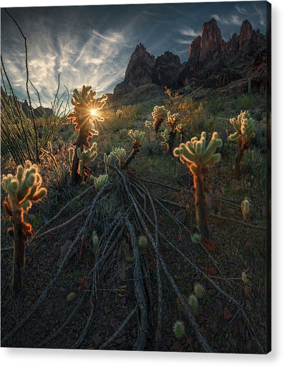 Southwest Landscape Acrylic Print with hanging wire