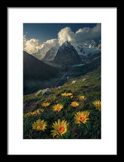 Framed print of yellow mountain flowers in peru - white mat and black frame - normal size