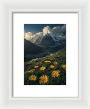 Framed print of yellow mountain flowers in peru - white mat and white frame - smallest size