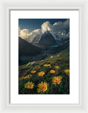 Framed print of yellow mountain flowers in peru - white mat and white frame - small normal size