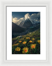 Framed print of yellow mountain flowers in peru - white mat and white frame - small size