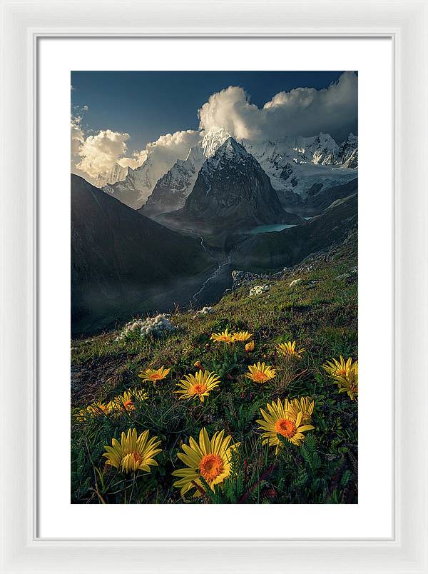 Framed print of yellow mountain flowers in peru - white mat and white frame - bigger than normal size