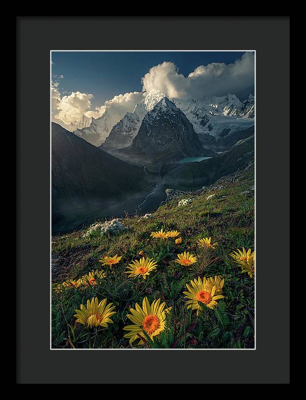 Framed print of yellow mountain flowers in peru - black mat and black frame - medium small size