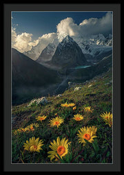 Framed print of yellow mountain flowers in peru - black mat and black frame - biggest size