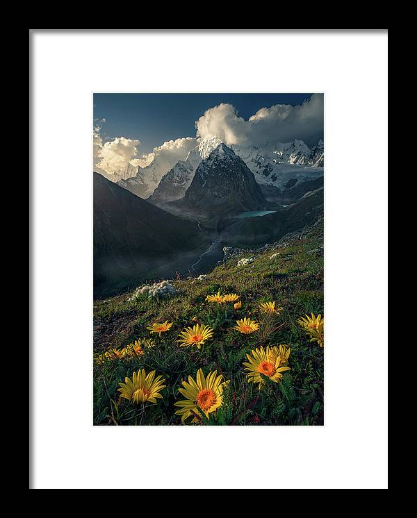 Framed print of yellow mountain flowers in peru - white mat and black frame - smallest size