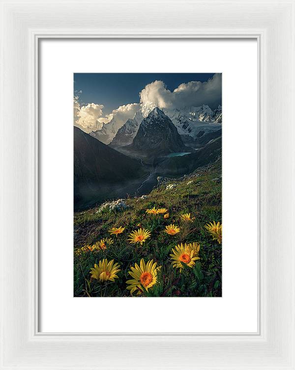 Framed print of yellow mountain flowers in peru - white mat and white frame - extra small size