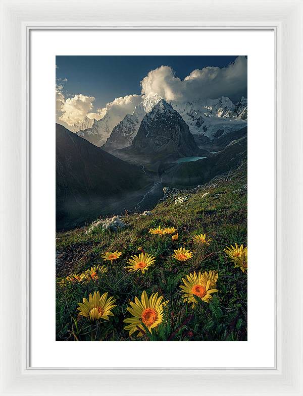 Framed print of yellow mountain flowers in peru - white mat and white frame - normal size