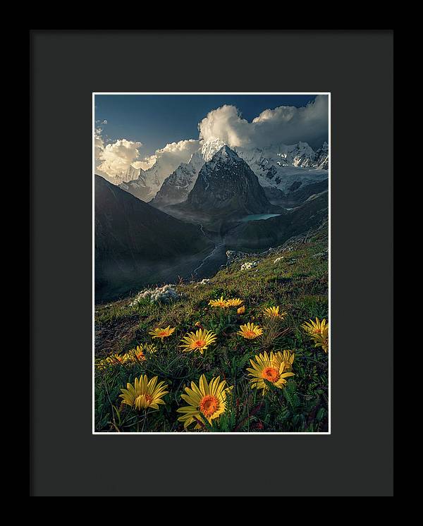 Framed print of yellow mountain flowers in peru - black mat and black frame - smallest size