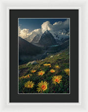 Mountain Flowers Framed Print