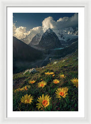 Framed print of yellow mountain flowers in peru - white mat and white frame - large size