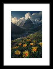 Framed print of yellow mountain flowers in peru - white mat and black frame - small size