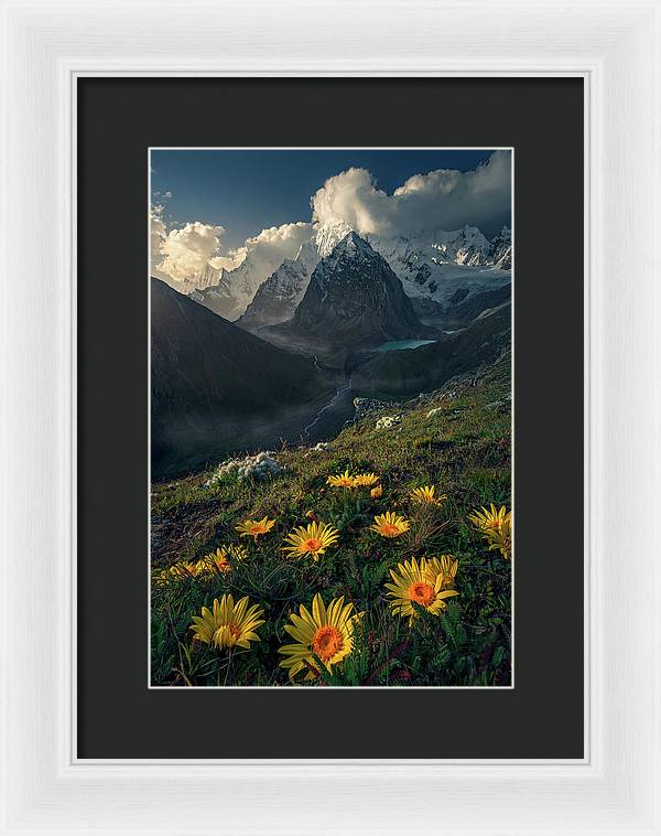 Mountain Flowers Framed Print