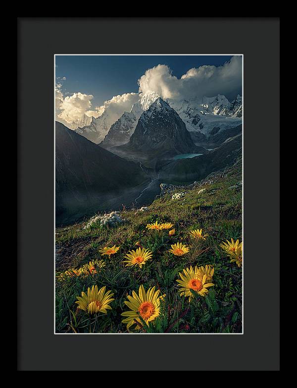 Framed print of yellow mountain flowers in peru - black mat and black frame - small size