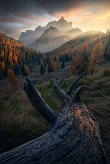 A dramatic mountain landscape in the Dolomites at sunset with jagged peaks in the distance, golden autumn trees on the slopes, and a large weathered log in the foreground leading the eye to the mountains beyond.