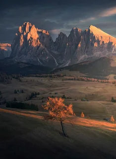 The mountains of Alpe di Siusi at sunrise in autumn with a lone golden larch tree in the foreground on rolling alpine hill.