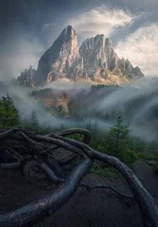 A dramatic mountain landscape in the Dolomites with jagged rocky peaks rising above misty forest, with a network of dark tree roots in the foreground creating leading lines to the mountains beyond.