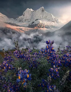 Peru — photograph from the tour itinerary